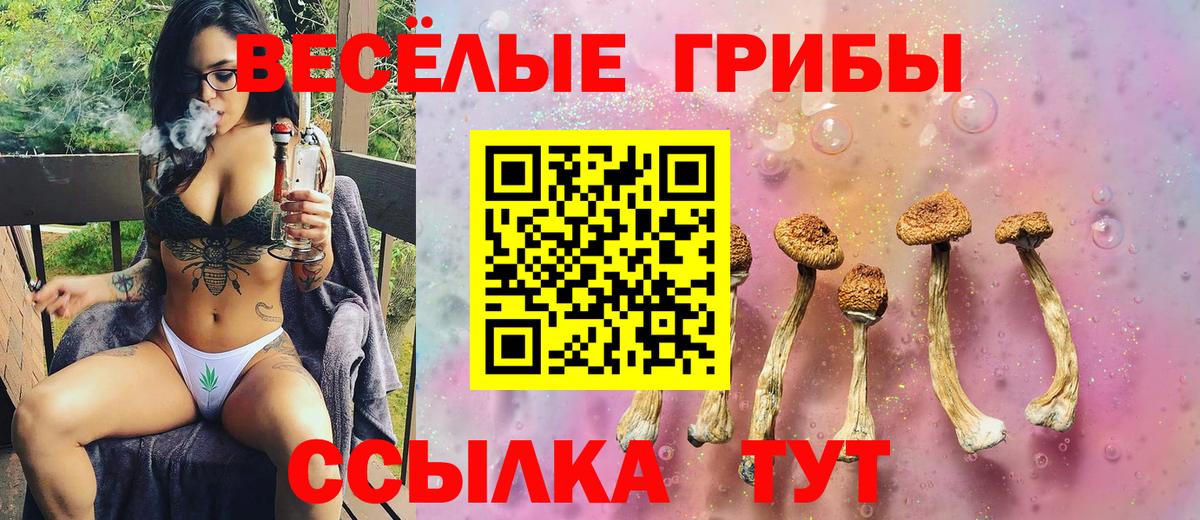 Ипатово  Галлюциногенные грибы Psilocybine cubensis  Вход с VPN 